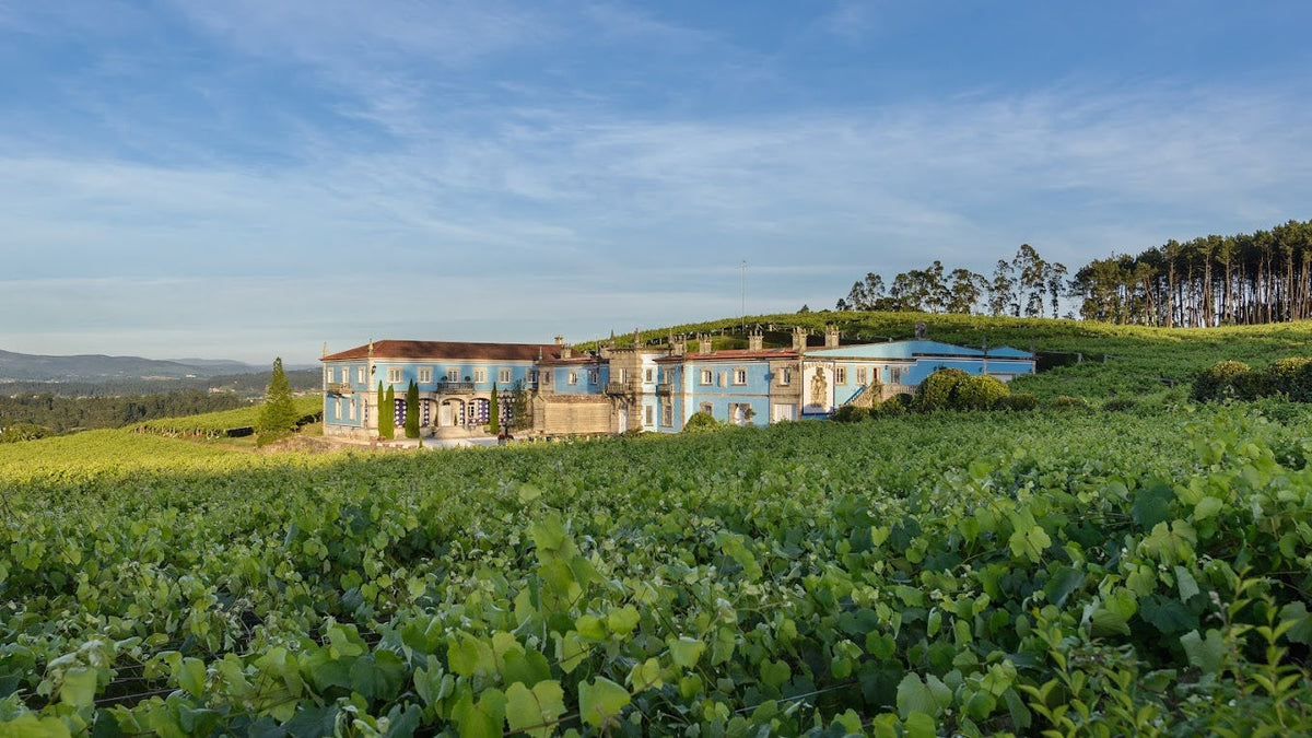 Vinícolas Granbazán