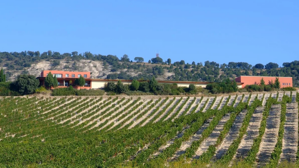Vinícola Hacienda Monasterio