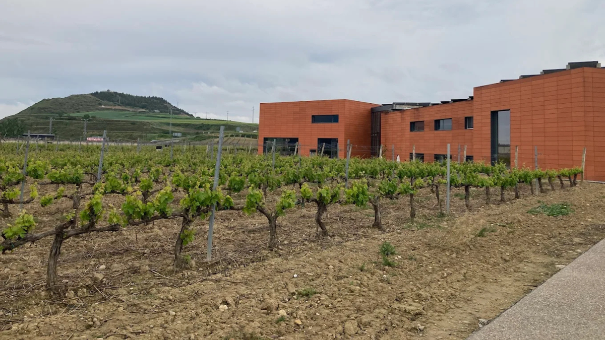 Vinícolas Martínez Lacuesta