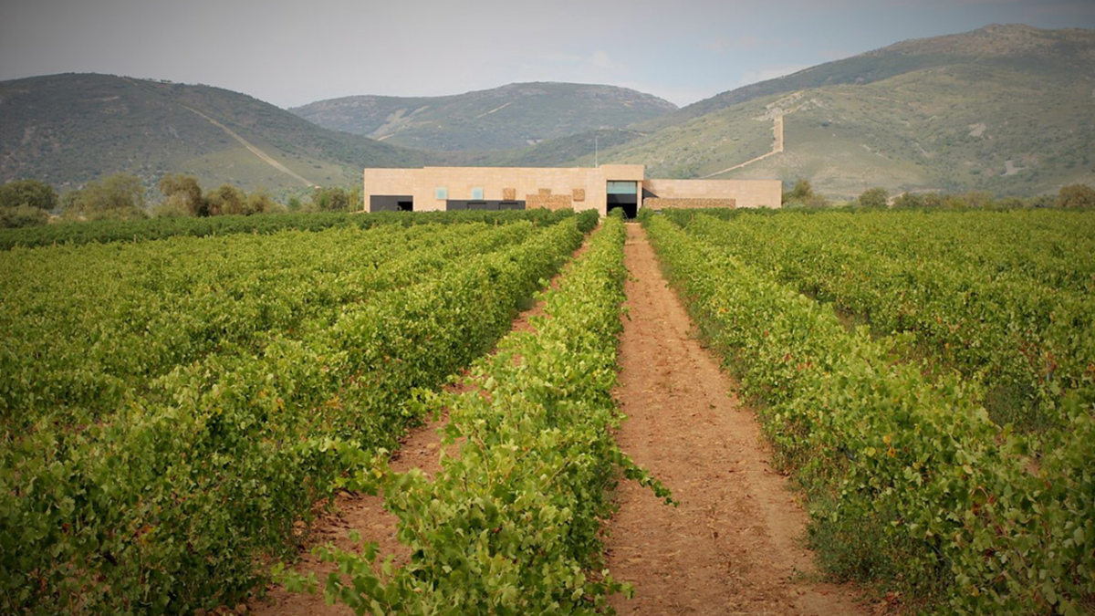 Vinícola Pago de Vallegarcia