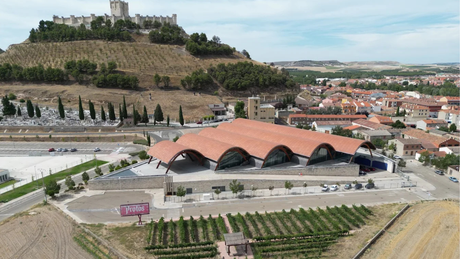 Bodegas Protos