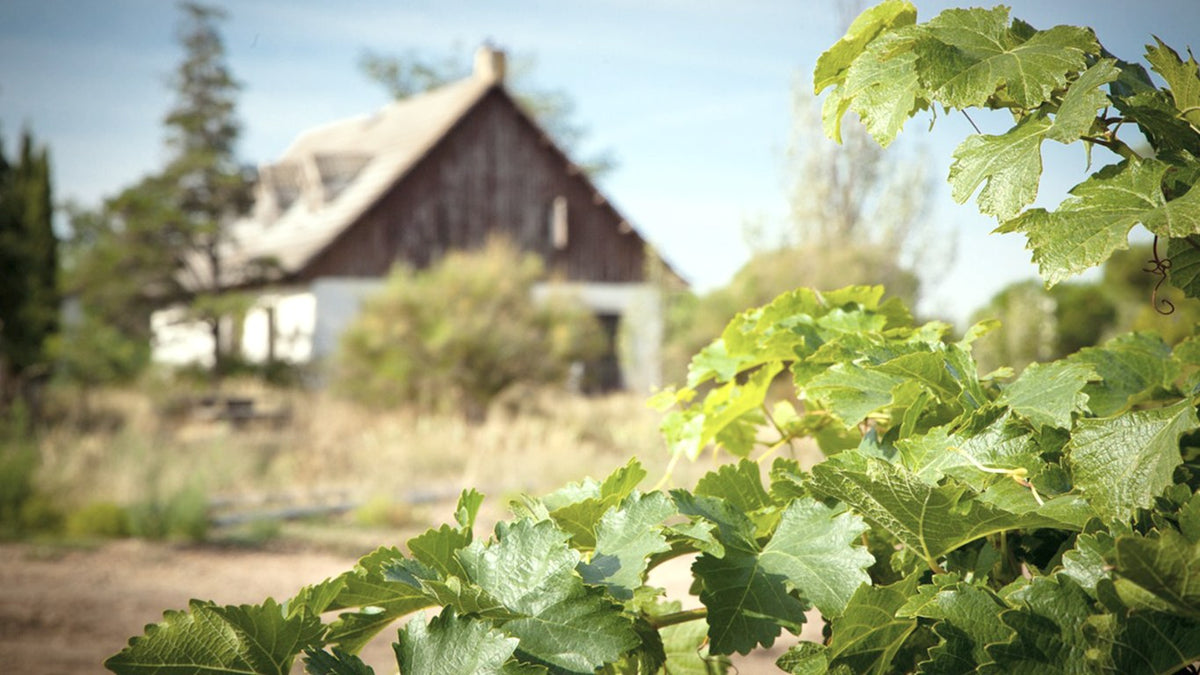 Vinícolas Sanz
