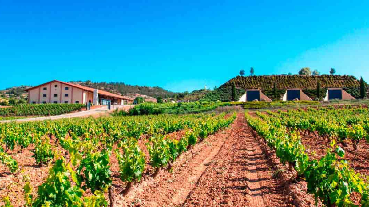 Vinícolas Valduero