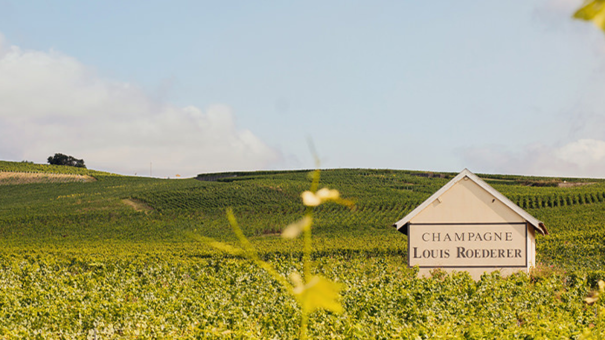 Louis Roederer Casa