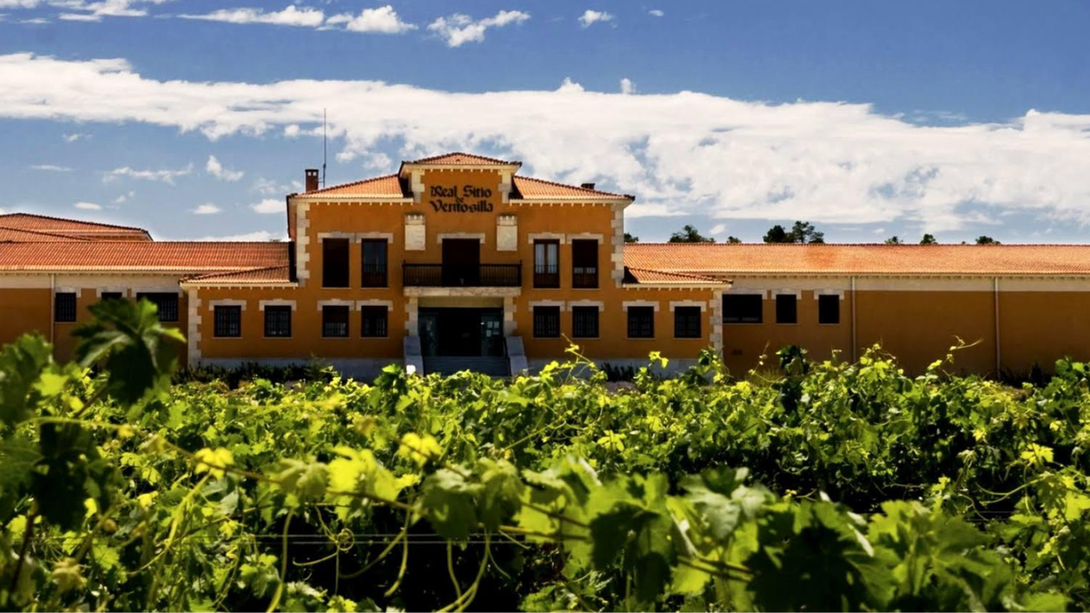 Bodegas y Viñedos Prado Rey