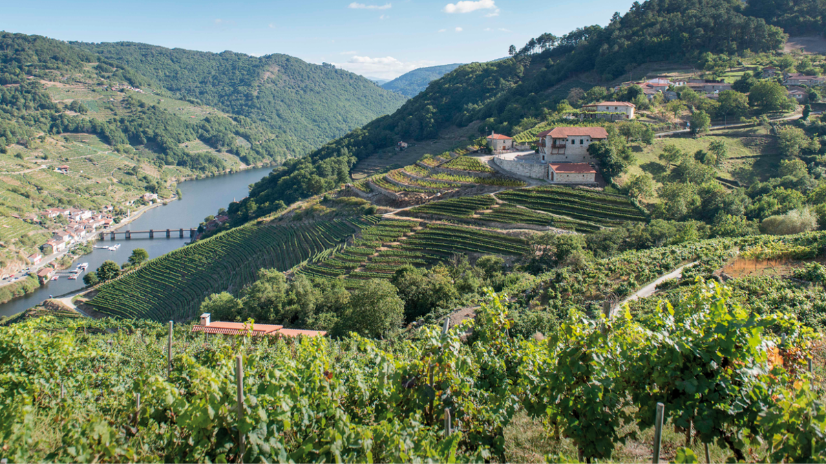 Via Romana Adegas e Vinhas