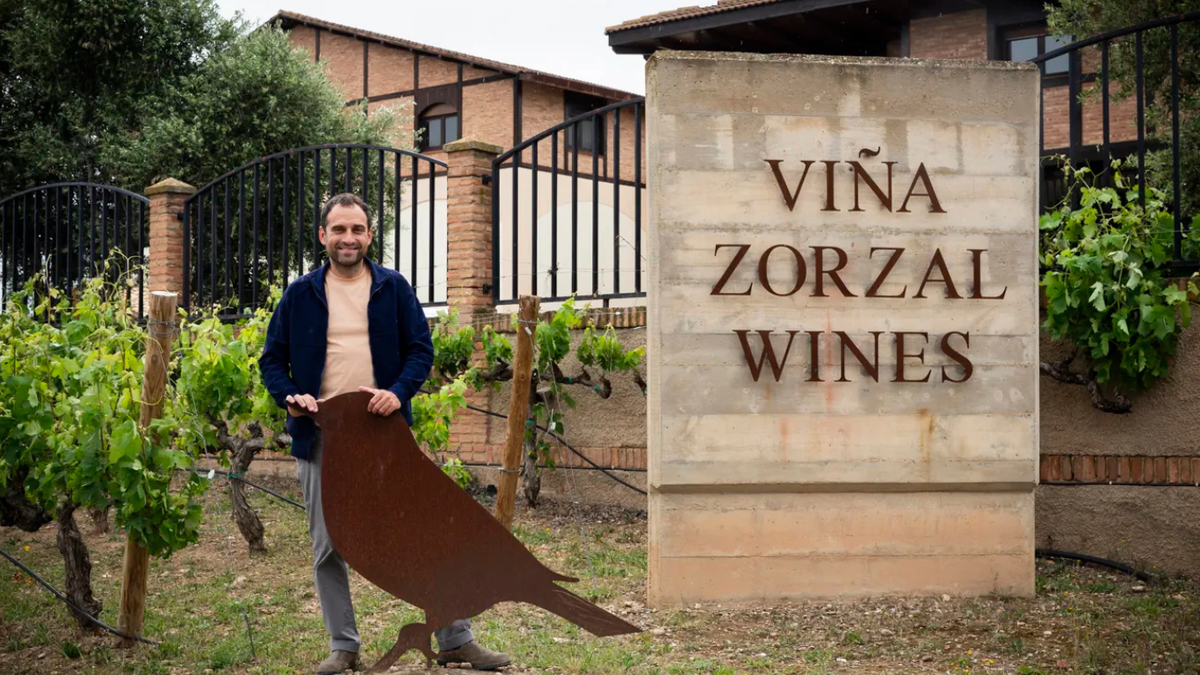 Vinhos Viña Zorzal