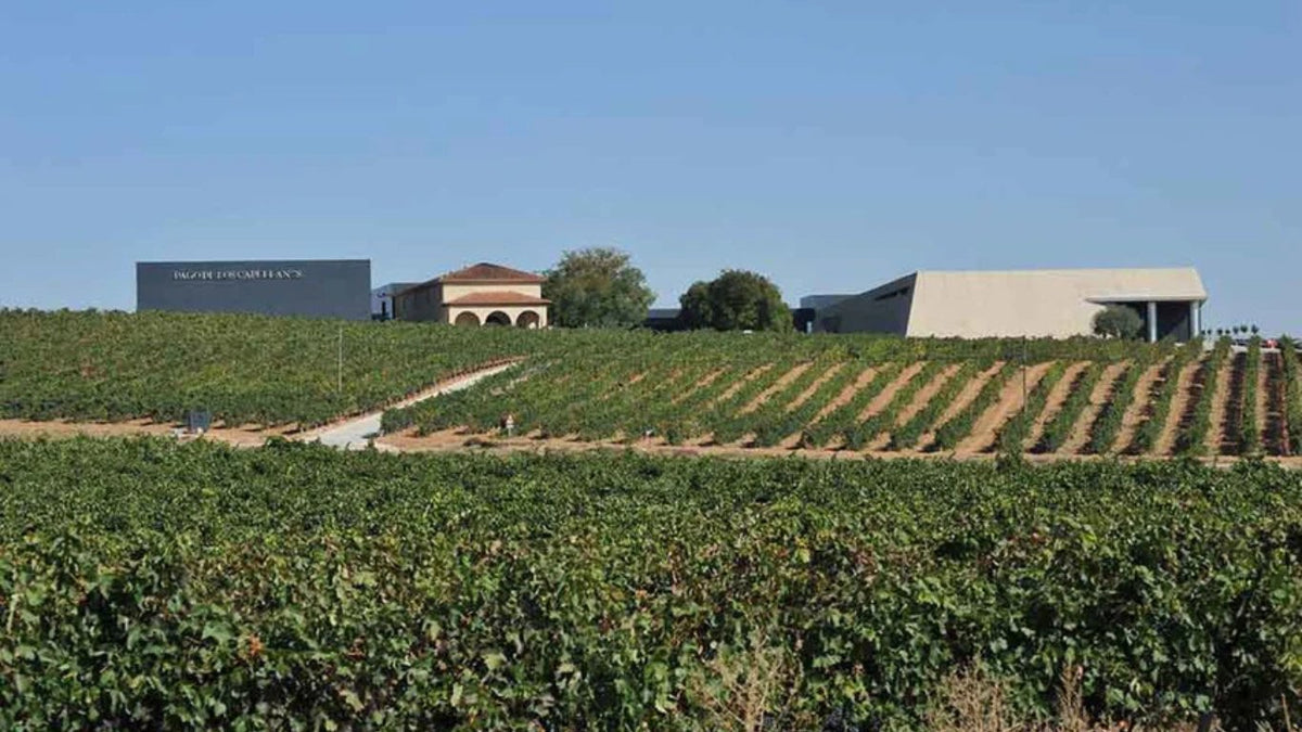 Vinícola Pago de los Capellanes