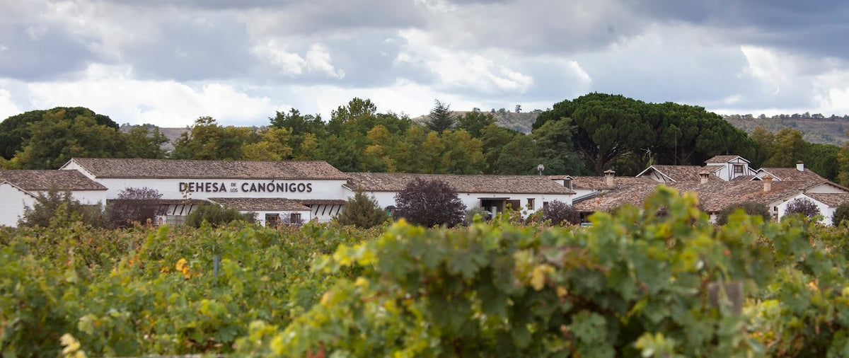 Vinícola Dehesa de los Canónigos