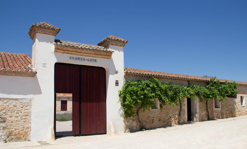 Vinícola Quarto Lote