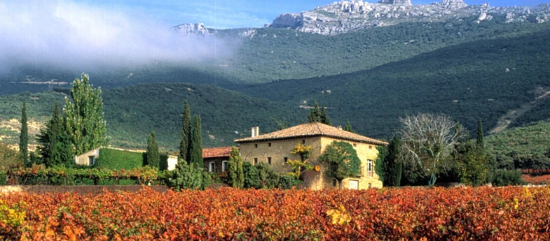 Vinícolas Remelluri