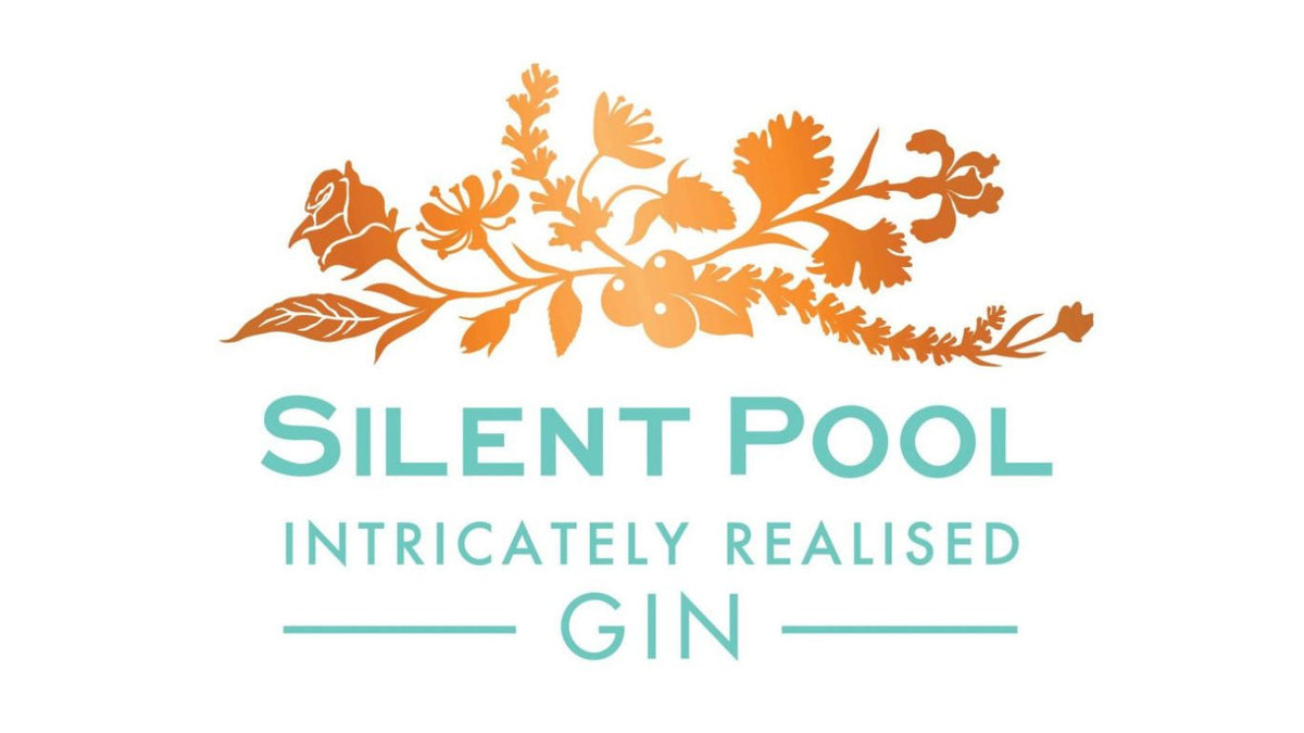 Gin Piscina Silenciosa