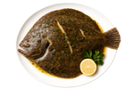 Tartaruga