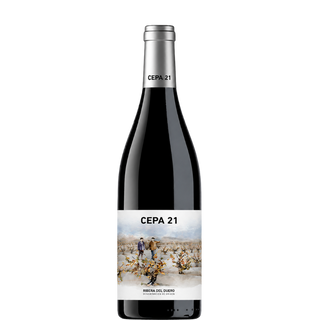 CEPA 21 2022 Magnum
