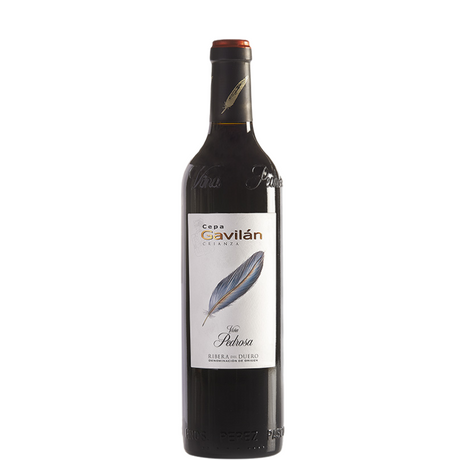 Garrafa de Gavilan Crianza Cepa 2023