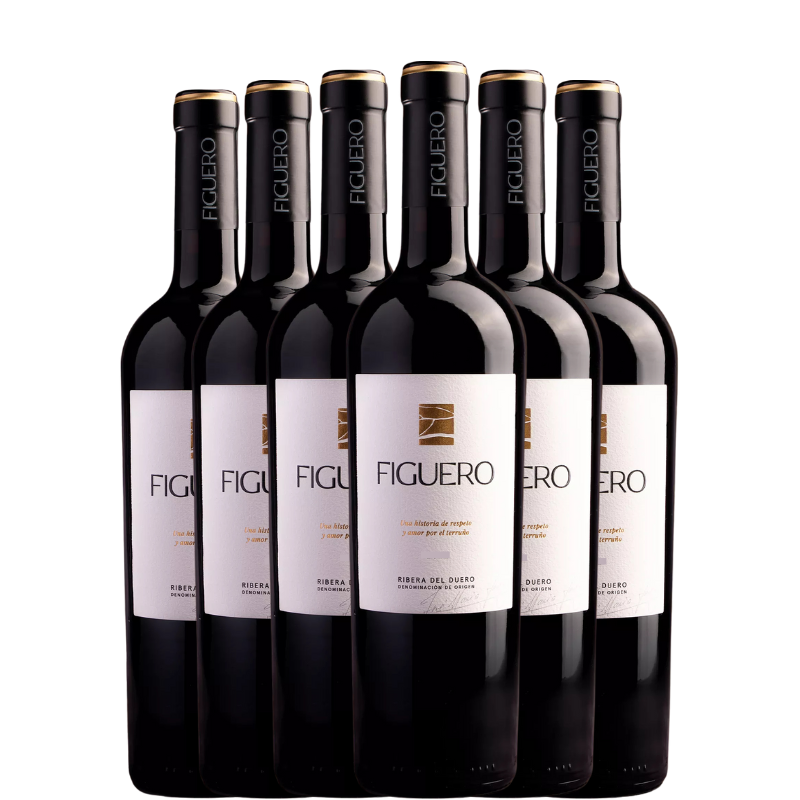 FIGUERO 12 MESES Crianza 2022 x6 botellas