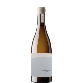 SUMMITGUARD Branco 2023