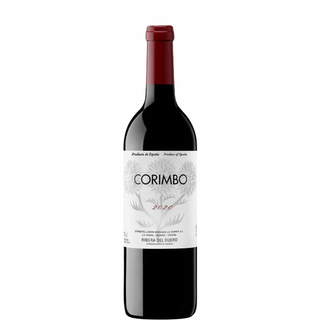 CORYMBO 2019