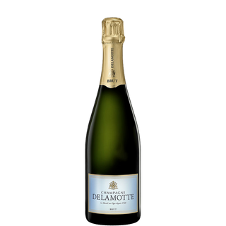 DELAMOTTE Bruto