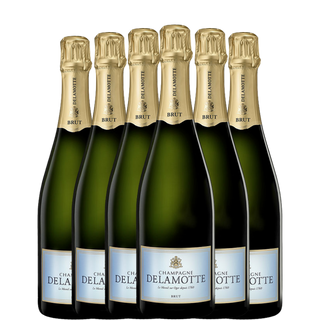 DELAMOTTE Bruto 6x75cl