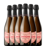 6 garrafas de JUVE & CAMPS Family Reserve ROSÉ