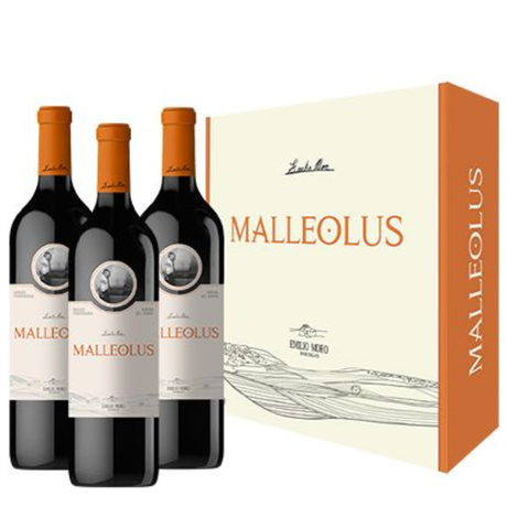 Três garrafas de Malleolus 2022 da Vinícola Emilio Moro, com caixa serigrafada da Vinícola