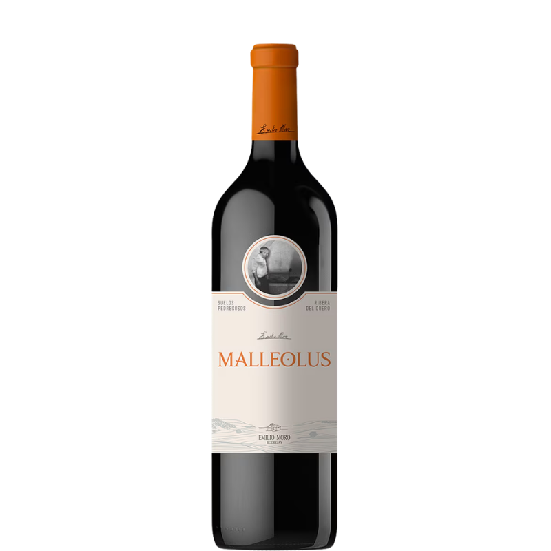 MALLEOLUS 2023