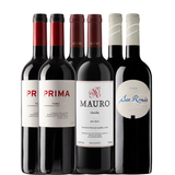 6 garrafas de vinho da Bodega Mauro