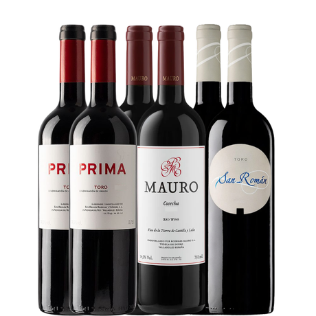 6 garrafas de vinho da Bodega Mauro