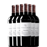 PAGO DE LOS CAPELLANES Crianza 2024 x6 botellas
