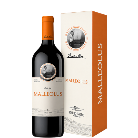 Garrafa de Malleolus Magnum 2022
